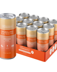 Orange Fizz Sparkling Electrolytes