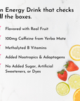 Checklist of energy drink features including real fruit flavor, caffeine, B vitamins, no added sugar, and more.