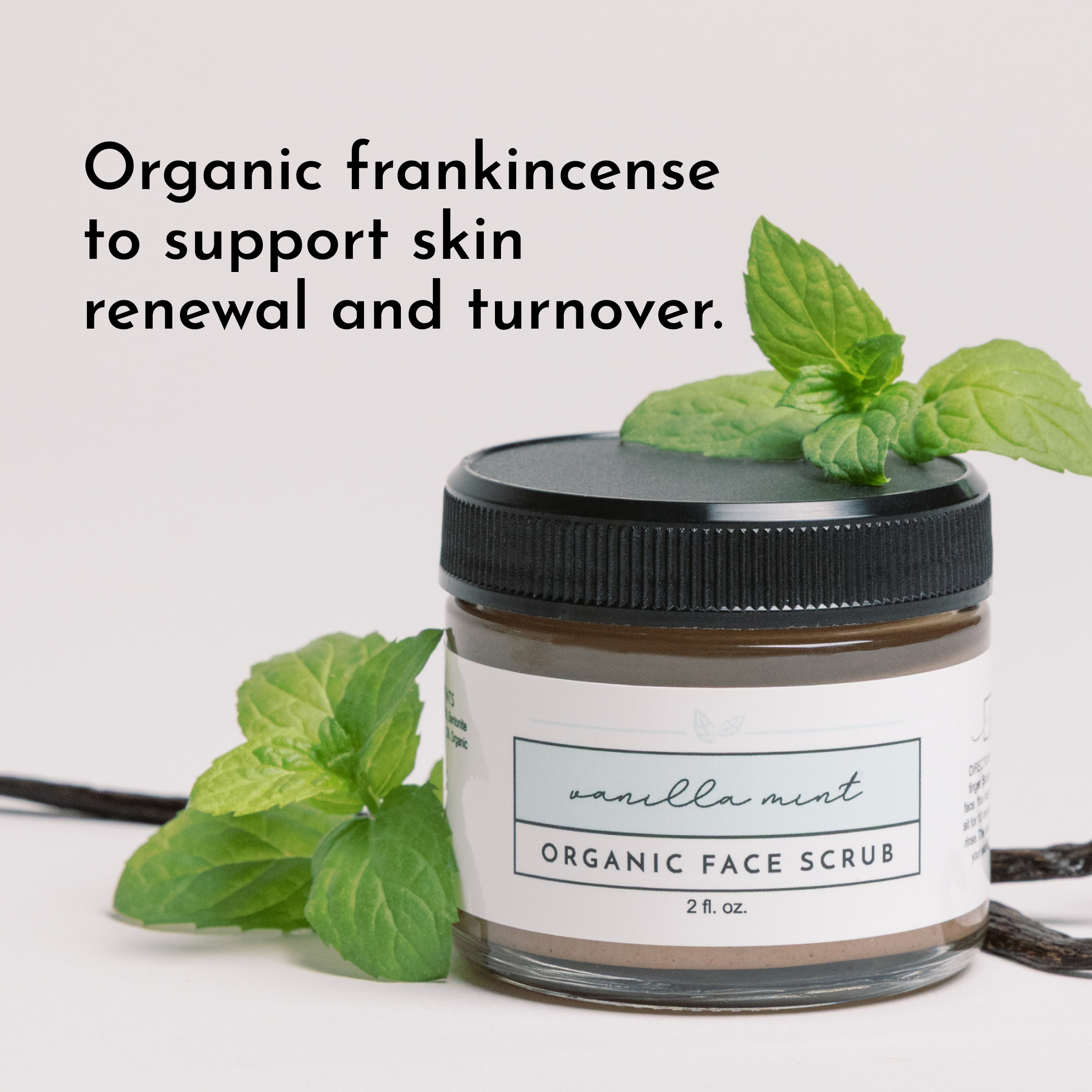 Vanilla Mint Face Scrub – Just Ingredients