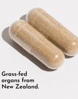 Two tan capsules filled with granular powder on white background.