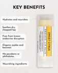 Sweet Citrus Lip Balm