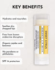 Lip balm tube labeled "Sweet Citrus" with key benefits listed on the left side.