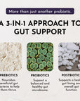 Three ingredient components displayed: tan powder labeled prebiotics, green circular leaves labeled probiotics, and white cry