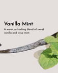Vanilla Mint Face Scrub
