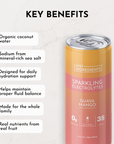 Guava Mango Sparkling Electrolytes (12 Pack)