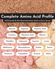 Amino acid profile chart displaying essential and non-essential amino acids in protein powder.