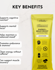 Energy + Brain Boost Lemonade (Paraxanthine) Stick