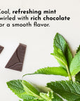 Dark chocolate pieces and fresh mint leaves arranged on a light surface.