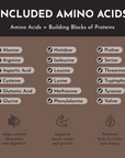 Chart listing included amino acids in vegan roasted chocolate protein powder with checkmarks for each.