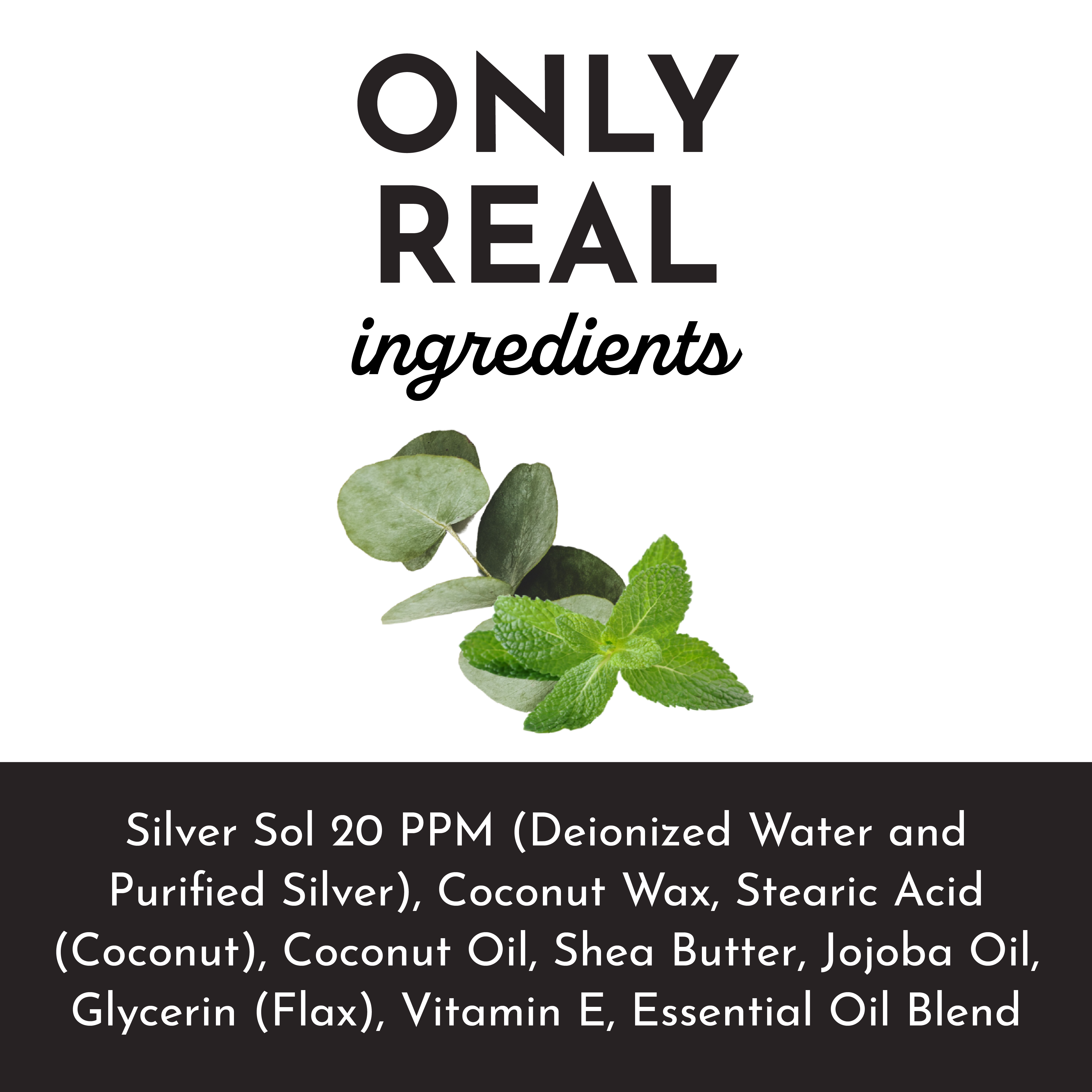 Eucalyptus Mint Body Lotion - 8oz – Just Ingredients