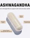 Ashwagandha Capsule - Image