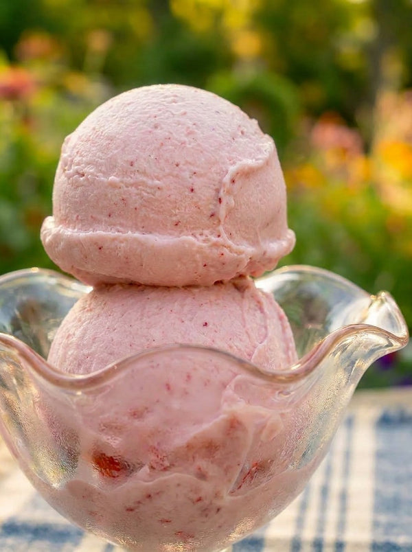 Coconut Strawberry Ice Cream
