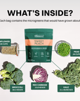 Sweet Peach microgreens drink mix bag surrounded by ingredient samples: sunflower seeds, peas, broccoli, red cabbage, and kal