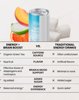 Arctic Beast Energy + Brain Boost (12 Pack)