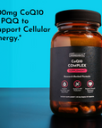CoQ10 Complex