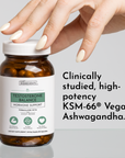 Testosterone Balance