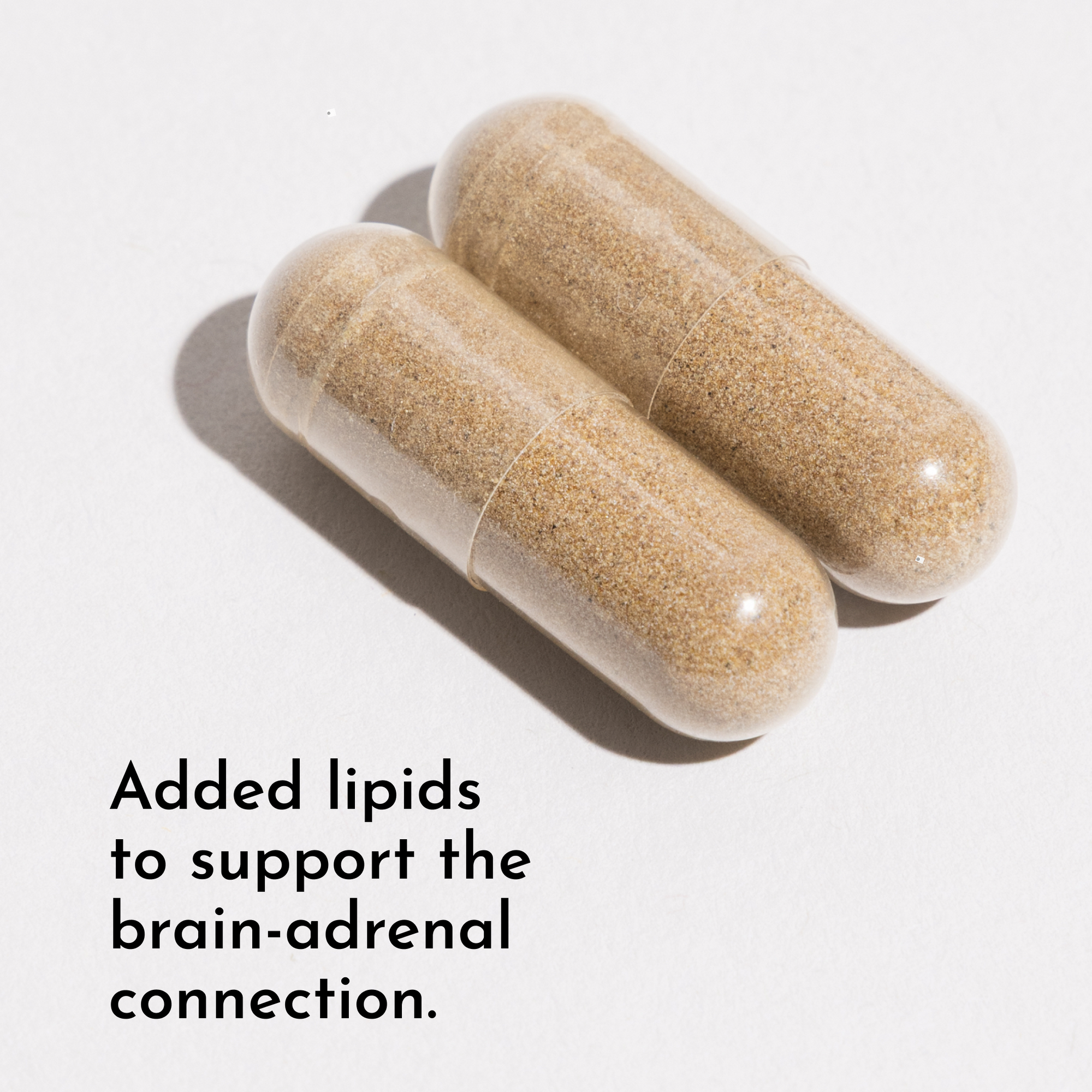 Two tan and white capsules containing granulated powder on white background.