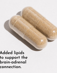Two tan and white capsules containing granulated powder on white background.