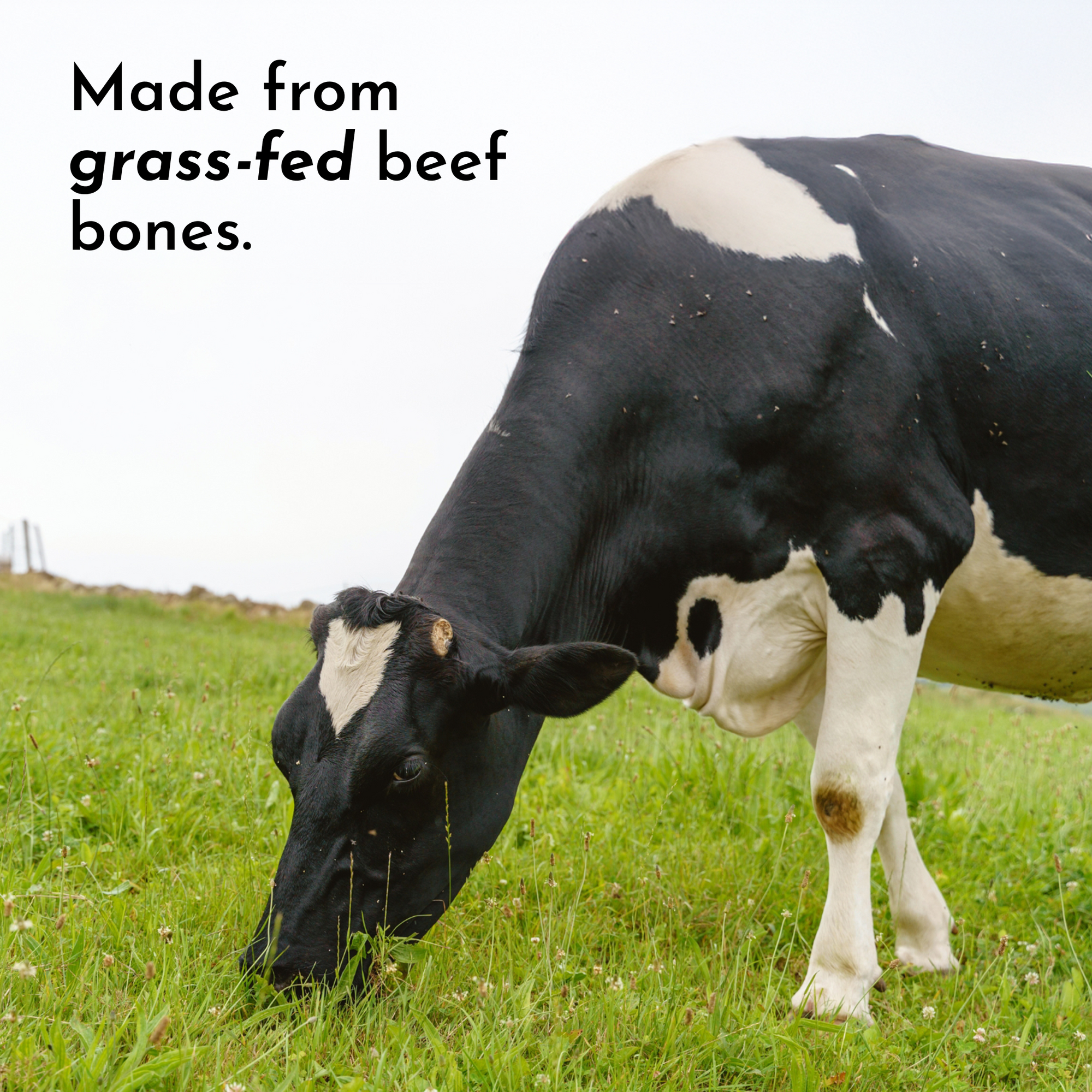 Made from grass-fed beef bones.