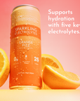 Orange Fizz Sparkling Electrolytes