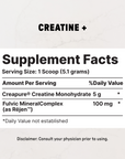 Workout Routine Bundle