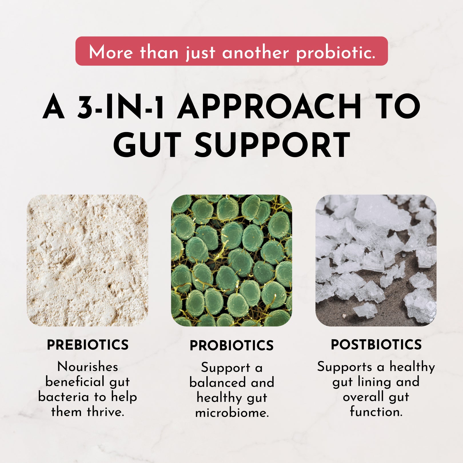 Infographic displaying three ingredients for gut support: beige powder labeled prebiotics, green circular plant material labe