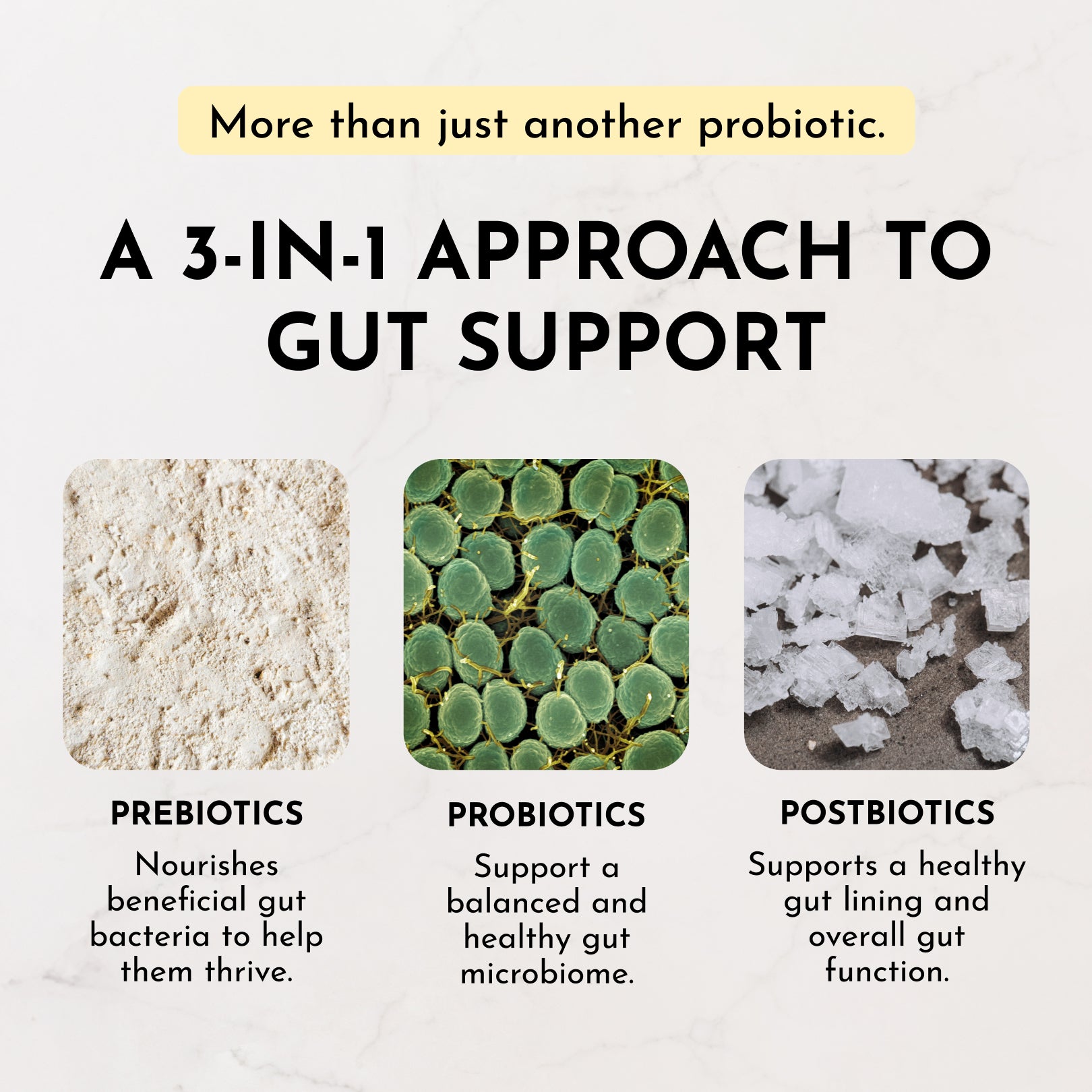 Three square sections labeled "Prebiotics," "Probiotics," and "Postbiotics," each with descriptive text about gut support.
