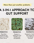 Three square sections labeled "Prebiotics," "Probiotics," and "Postbiotics," each with descriptive text about gut support.