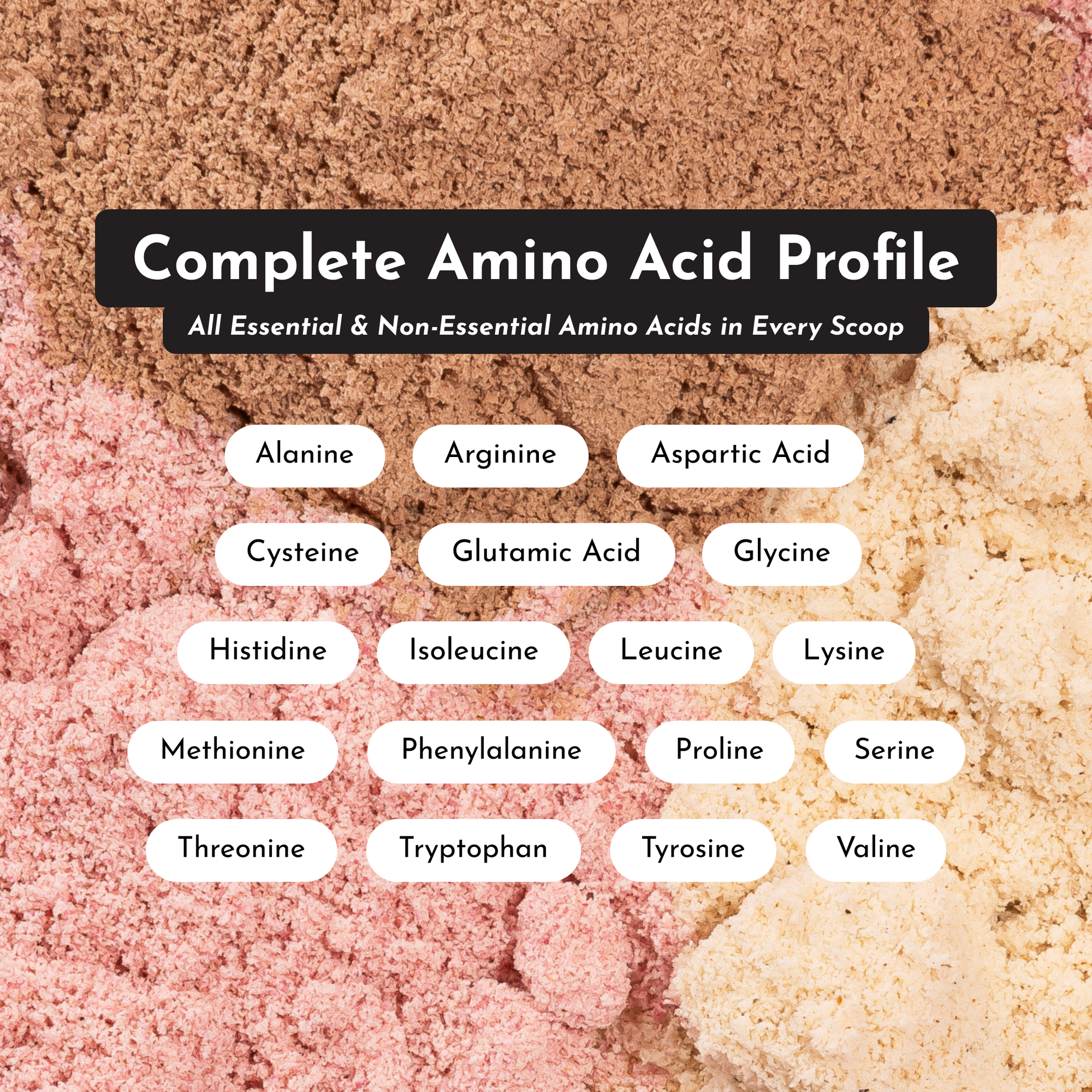 Amino acid profile chart displaying essential and non-essential amino acids in protein powder.