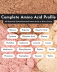 Roasted Peanut Butter Chocolate Protein Powder