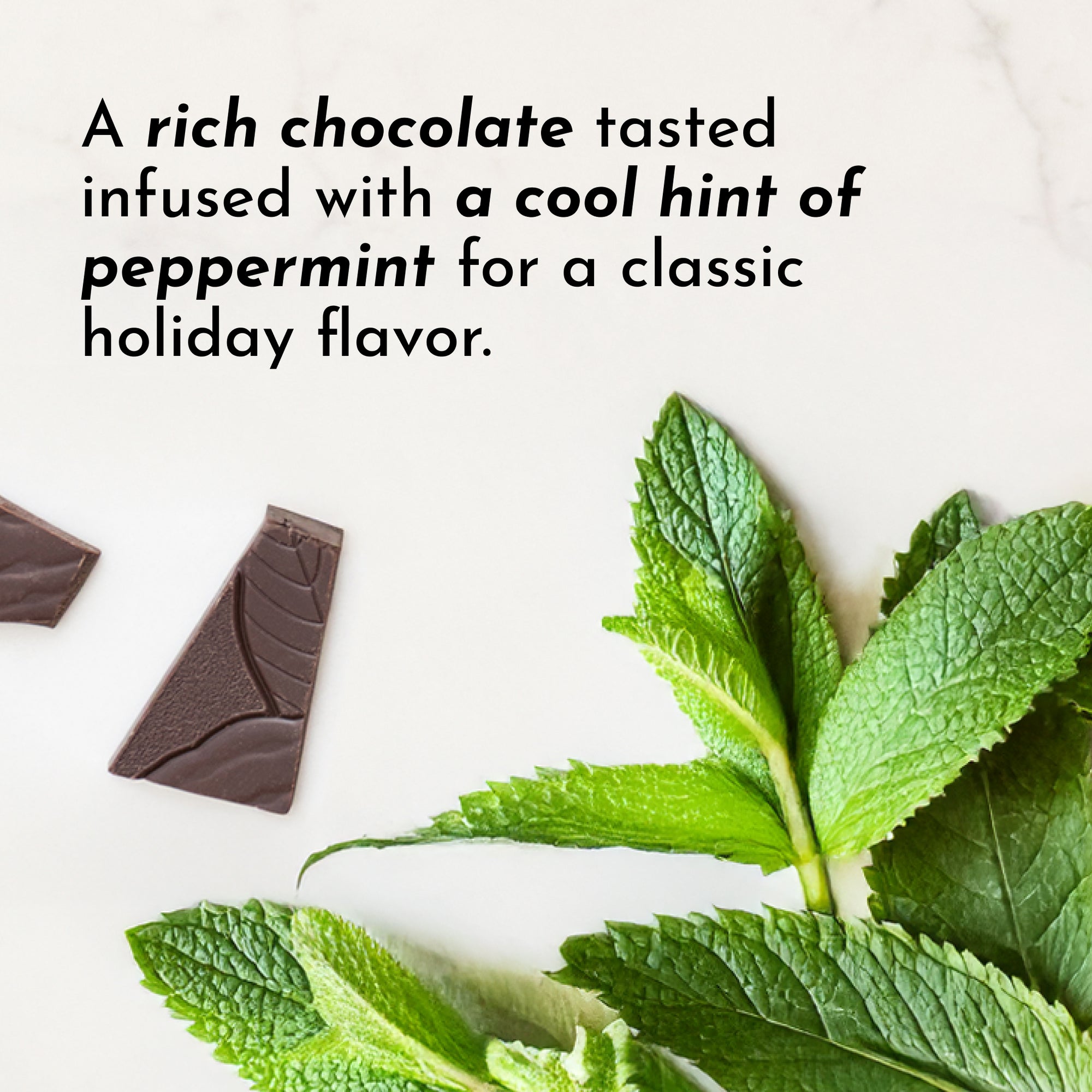 Chocolate Peppermint Protein Powder