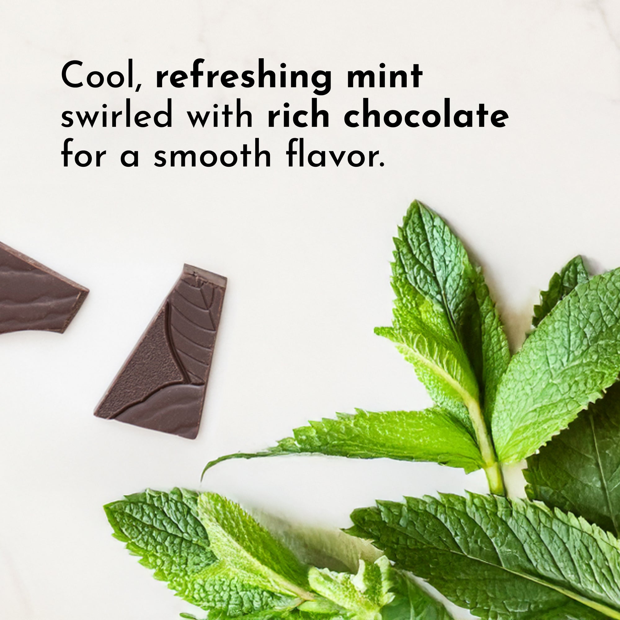 Mint leaves and two pieces of dark chocolate are arranged on a light surface.