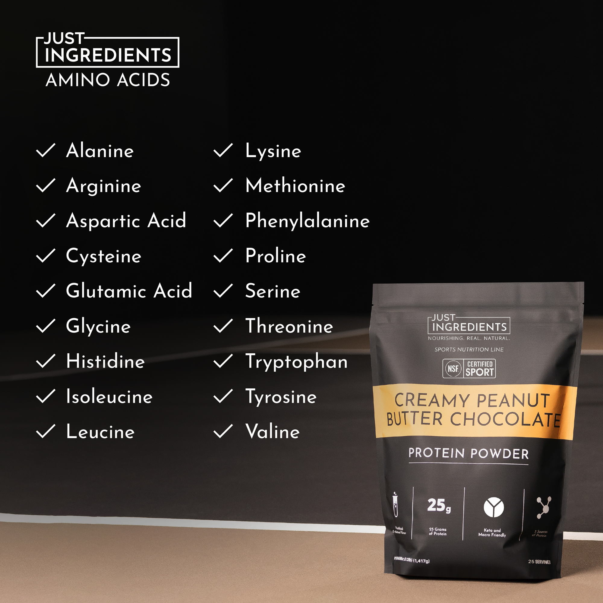 Black protein powder bag labeled "Creamy Peanut Butter Chocolate" with a list of amino acids and NSF certification.