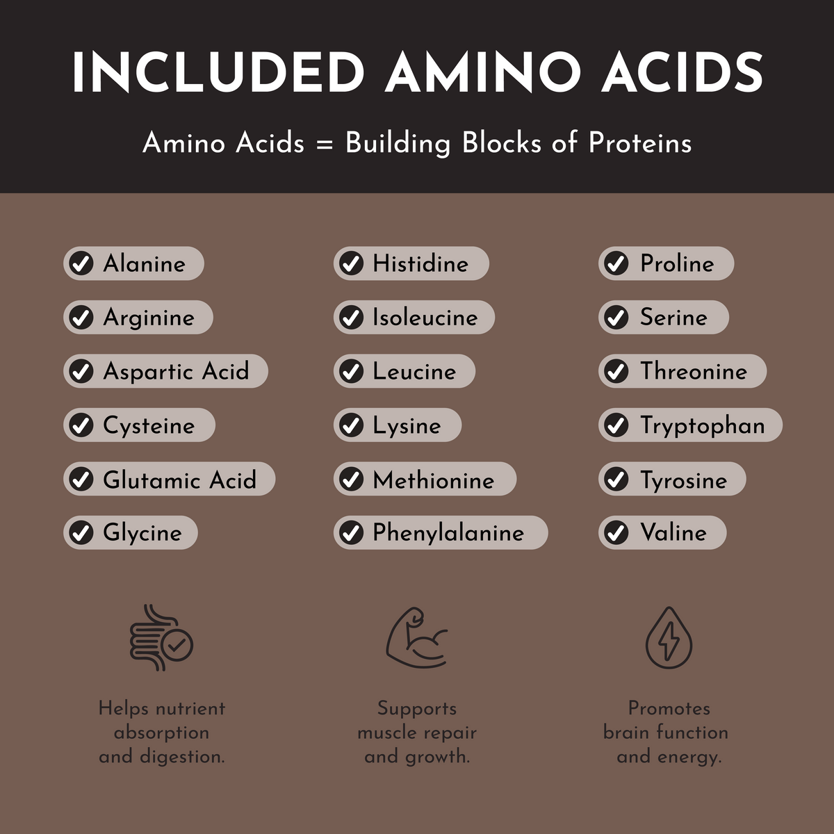 Chart listing included amino acids in vegan roasted chocolate protein powder with checkmarks for each.