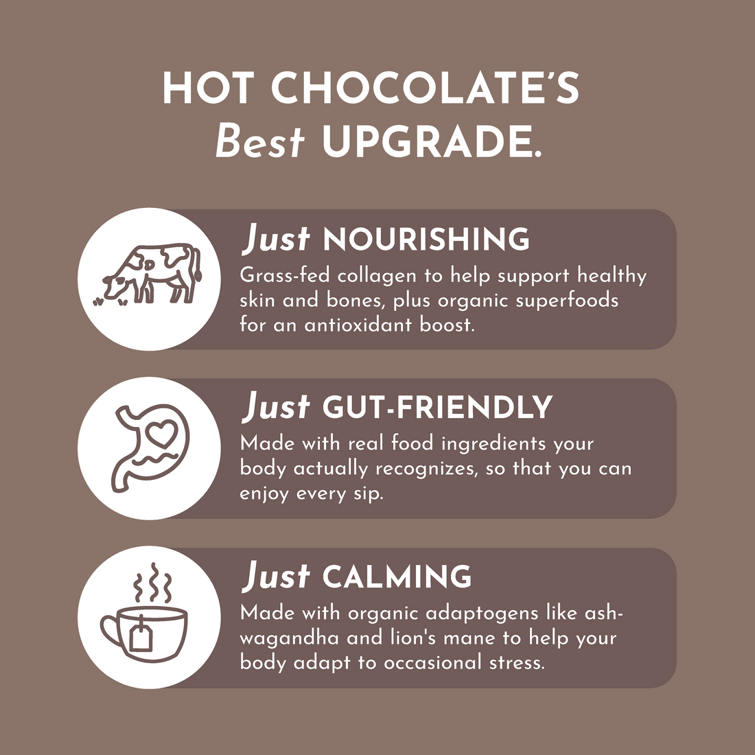 Chocolate Superfood Steamer