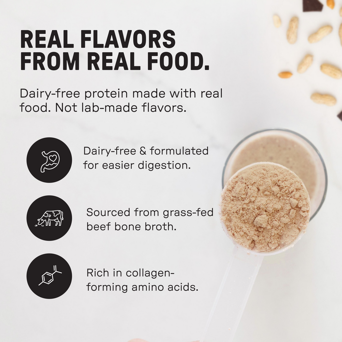 Dark Chocolate Peanut Butter Bone Broth Protein Powder