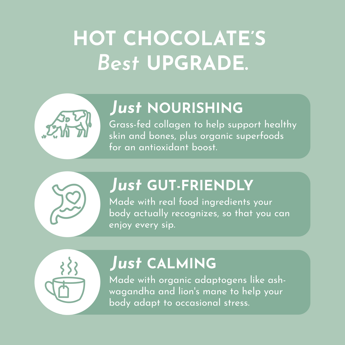 Mint Chocolate Superfood Steamer