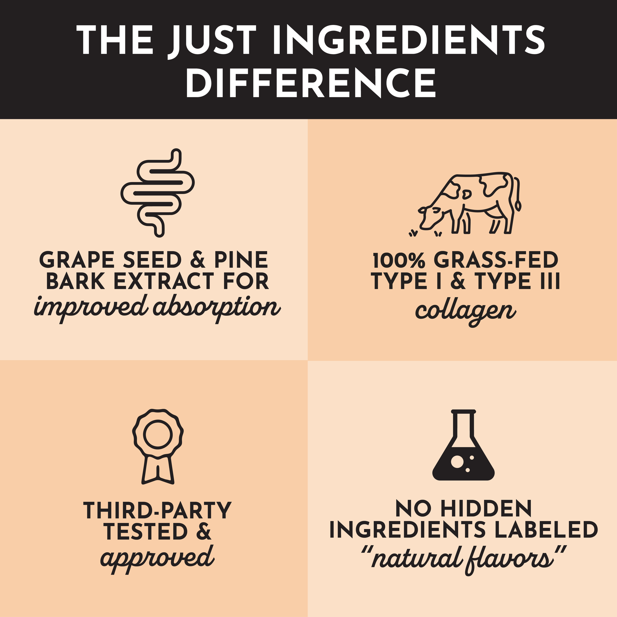 Four icons highlighting benefits: improved absorption, grass-fed collagen, third-party testing, and no hidden ingredients.
