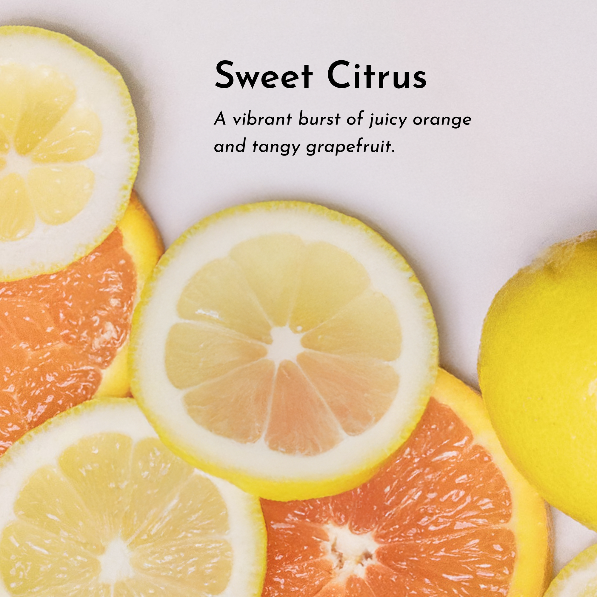 Sliced citrus fruits including oranges, lemons, and grapefruits arranged on a light background.