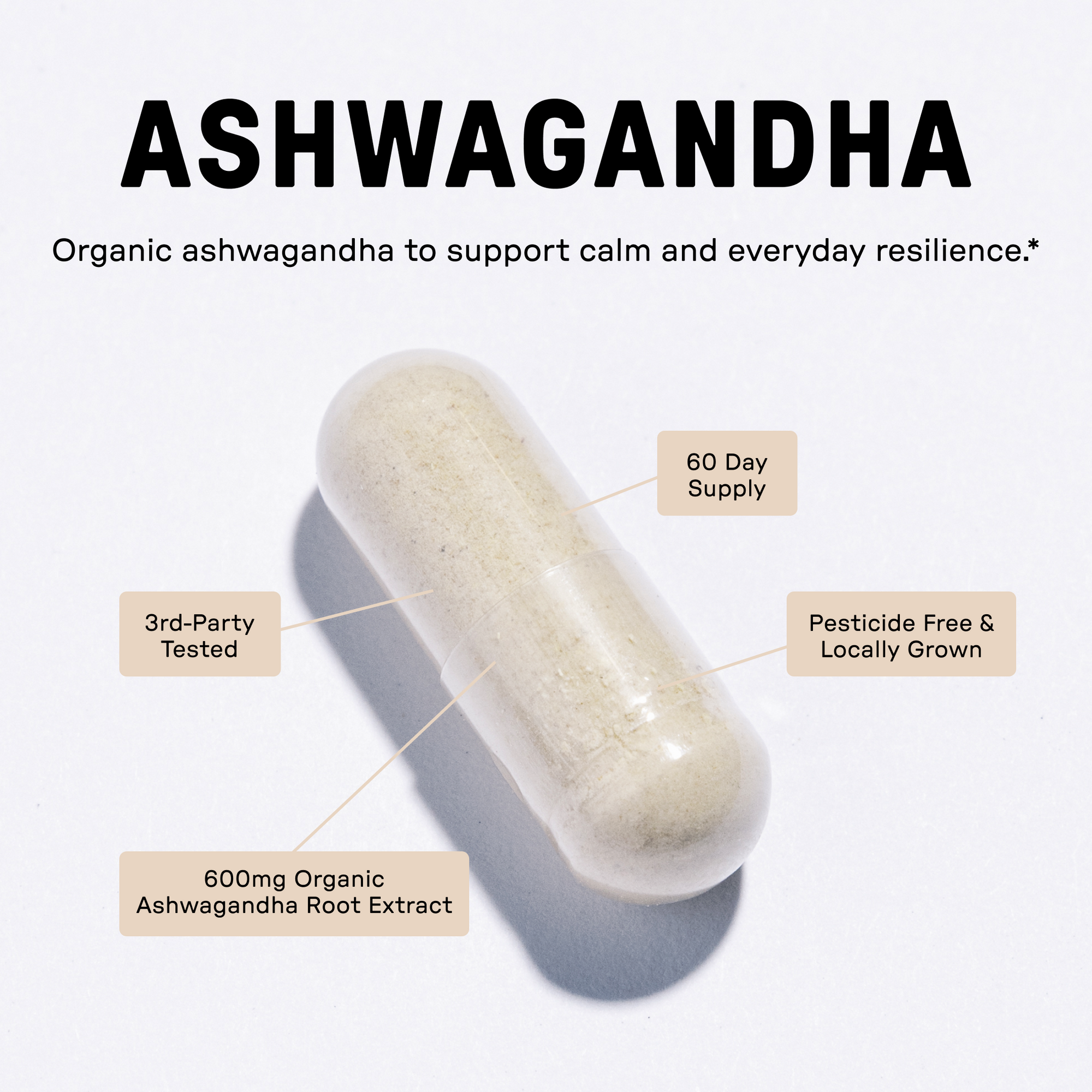Ashwagandha Capsule - Image