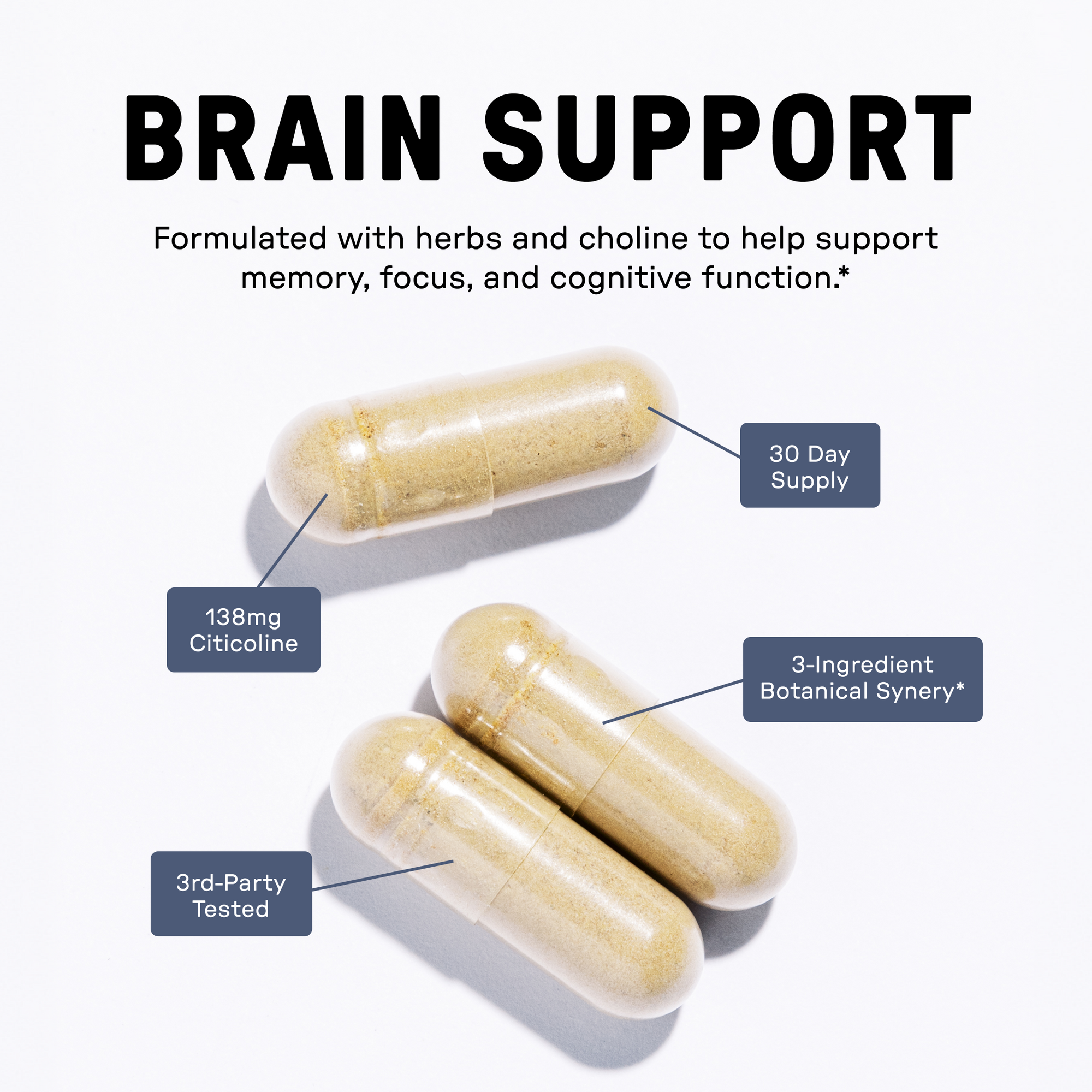 Brain Support Supplement - Image