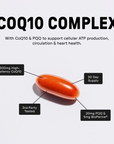 CoQ10 Complex - Information