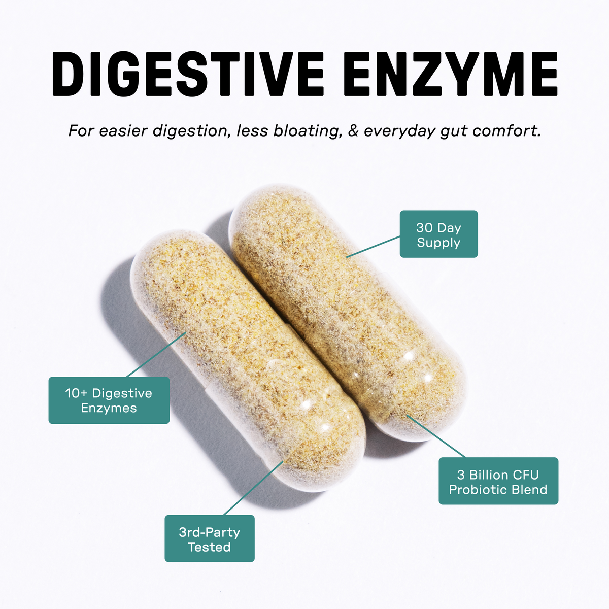 Digestive Enzyme - Information
