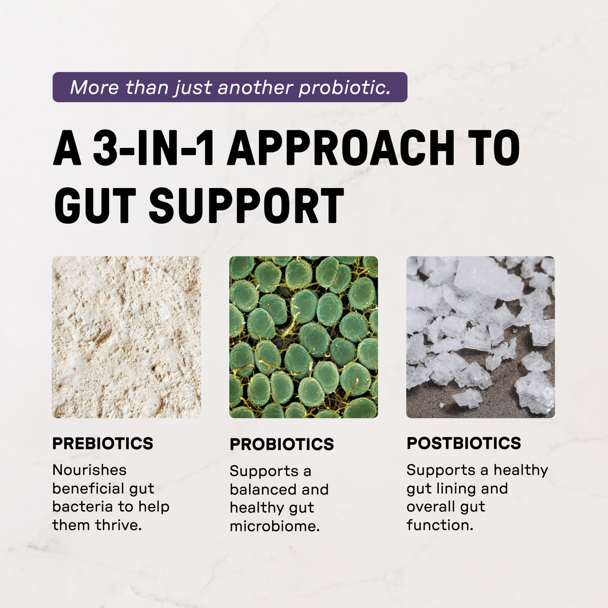 Elderberry Lemonade 3-In-1 Probiotic Complex - Information