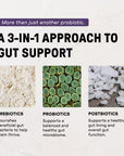 Elderberry Lemonade 3-In-1 Probiotic Complex - Information