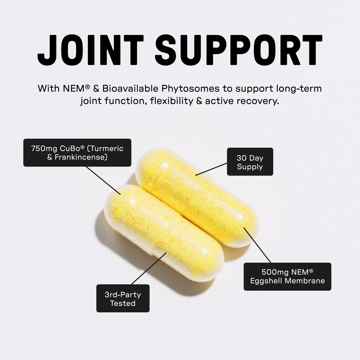 Joint Support Supplement - Information
