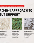 Fruit Punch Probiotic Complex for Kids - Information