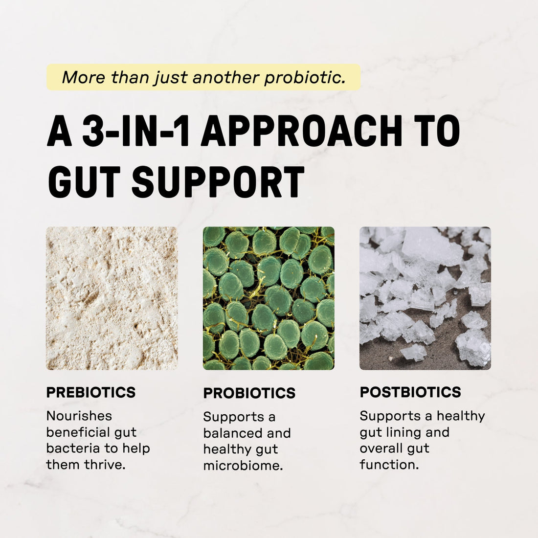 Lemon Ginger 3-In-1 Probiotic Complex - Information