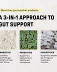 Lemon Ginger 3-In-1 Probiotic Complex - Information