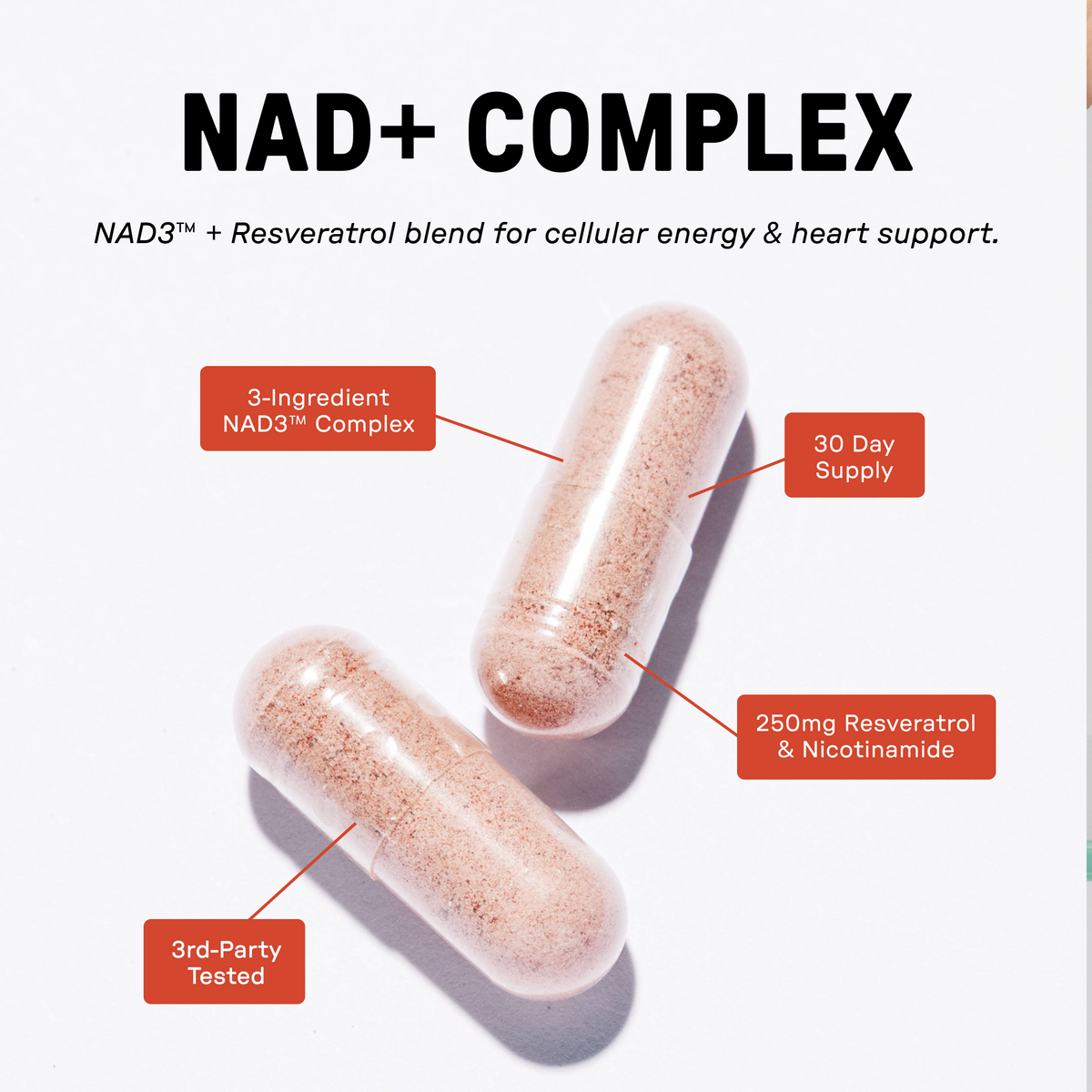 NAD+ Complex - Information